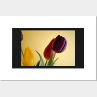 Tulip Flower Bouquet Posters and Art